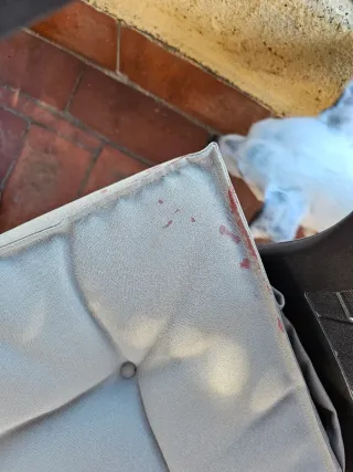 4 Sedie da terrazzo in resina marrone + cuscini 10€/unità