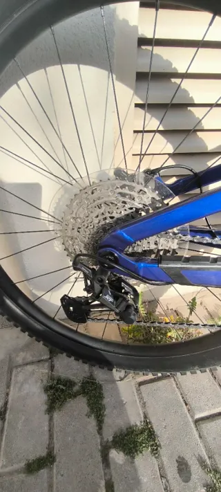 TREK Fuel EX 7 Gen 6 (2023)