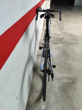 Focus Izalco Pro Bicicleta de Carretera