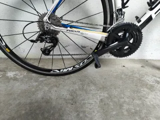 Focus Izalco Pro Bicicleta de Carretera