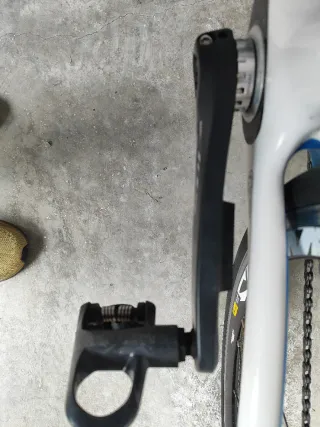 Focus Izalco Pro Bicicleta de Carretera