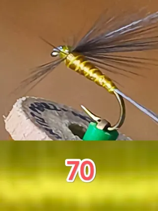 48 Moscas Ahogadas para Pesca,caja incluída