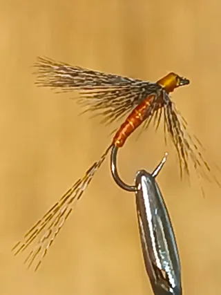 48 Moscas Ahogadas para Pesca,caja incluída