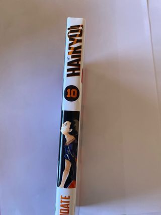 Haikyû!! nº 10