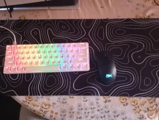 Teclado y ratón gamer RGB