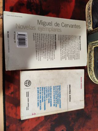 Cervantes Novelas Ejemplares Libros 2004-1977