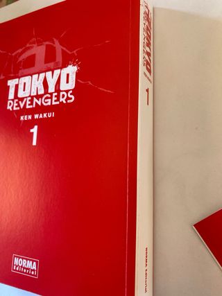 TOKYO REVENGERS 01