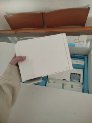 Nintendo Wii completa