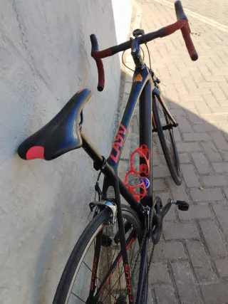 Bici Carretera Focus Cayo Talla 51