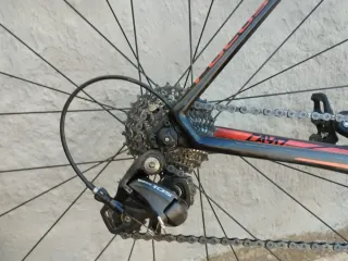 Bici Carretera Focus Cayo Talla 51