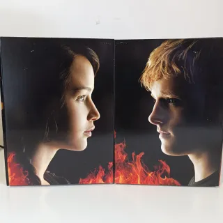 Hunger Games Edizione Collector DVD Francese