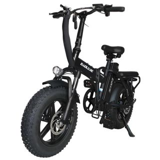 Fat Bike Elettrica Pieghevole 250W 48V