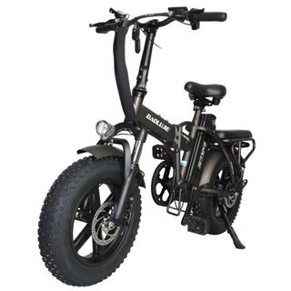 Fat Bike Elettrica Pieghevole 250W 48V