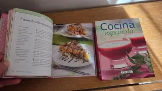 Libros de bolsillo recetas cocina española+ regalo