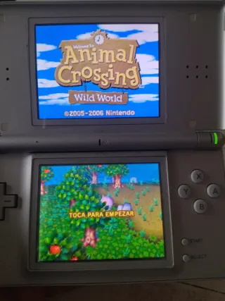 Animal Crossing Wild World muy bueno
