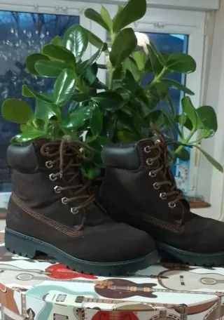 Botas de montaña marrones