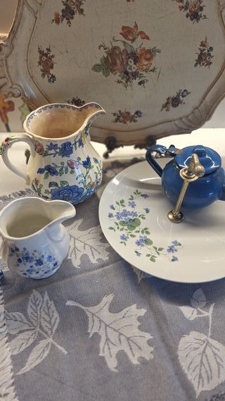 Lecherita Pontesa flores azules