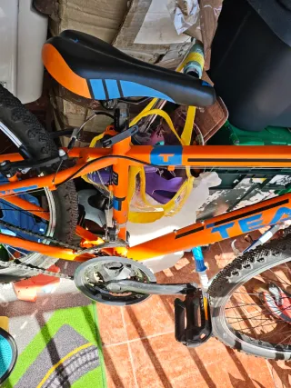 Bicicleta Team 18 marchas Naranja