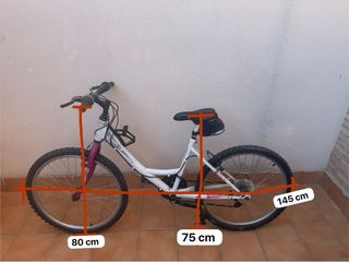 Bicicleta infantil blanca y morada
