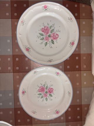 2 Platos Cerámica Flores Rosas