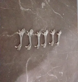 Set 6 Leoncini Porta Posate Argento