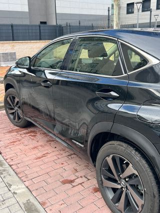 Lexus NX 2019