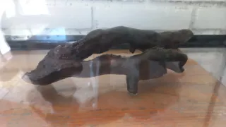Decorar acuario