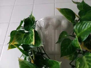 Maceteros colgantes con planta artificial