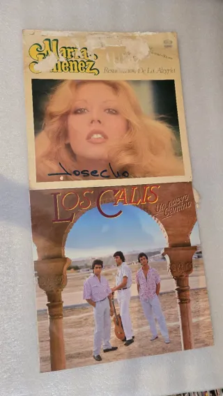 Lote de 15 vinilos y 6 cds