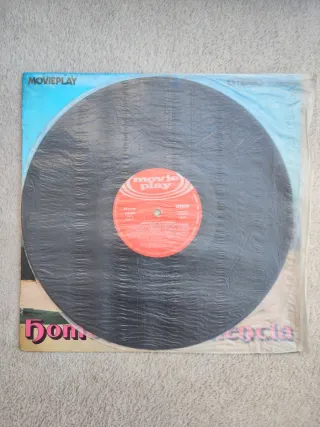 Vinilo Homenaje a Valencia Folk