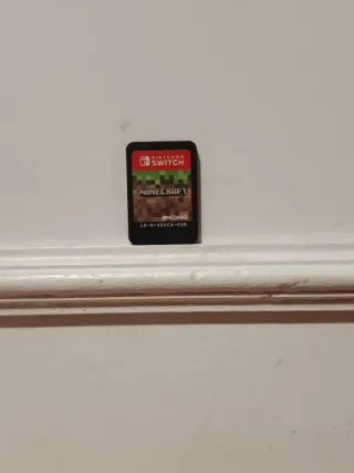 Minecraft Nintendo Switch