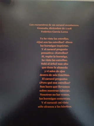 Vinilo Extremoduro - Yo, Minoría Absoluta