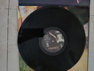 Vinilo Extremoduro - Yo, Minoría Absoluta