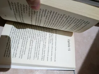 Ogni tuo desiderio è un ordine, bastardo