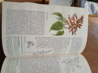 Le Garzantine fiori e giardino