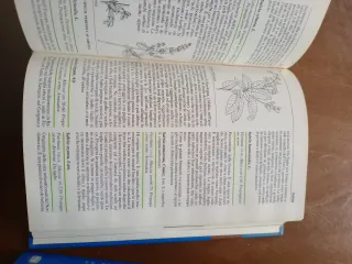 Le Garzantine fiori e giardino