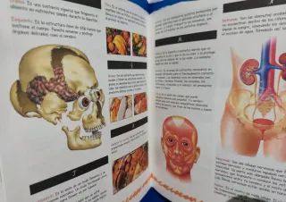 Gran libro del cuerpo humano