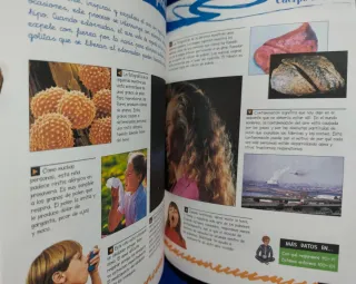 Gran libro del cuerpo humano