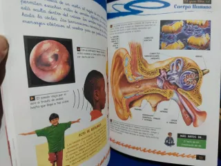 Gran libro del cuerpo humano