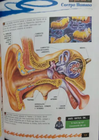 Gran libro del cuerpo humano
