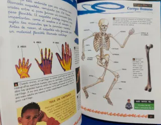 Gran libro del cuerpo humano