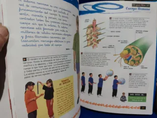 Gran libro del cuerpo humano