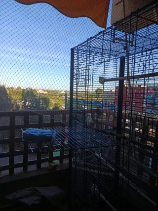 Jaula grande para pájaros