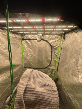Indoor kit completo para iniciar