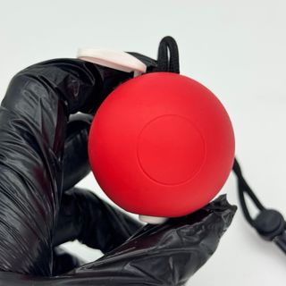 Pokeball Plus Controller Nintendo Switch