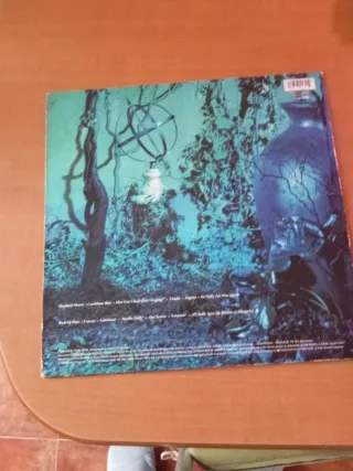 Vinilo Enya - Shepherd Moons