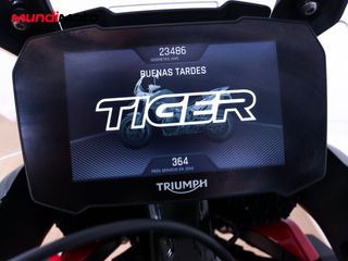 TRIUMPH TIGER 900 GT PRO