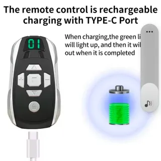 Mando Universal Garaje Coche