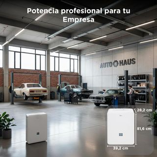 MIDEA Deshumidificador de humedad interior 50L/Dia