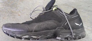 Salewa Speed Beat GTX n°45